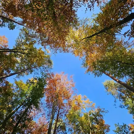 Liebevoll Eingerichtetes Апартаменты Рехлин